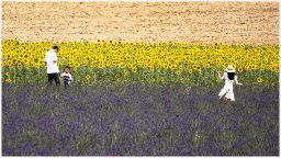 nury marc_plateau de valensole 82